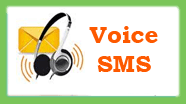 voice_sms